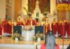 Đại Lễ Kính Thánh Tử Đạo Việt Nam 11-16-2014 (Phần 3)
