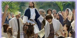 9 điều cần biết về lễ Lá