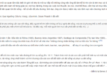 Hội Thanh Niên Gioan PhaoLô Đệ Nhị thành lập