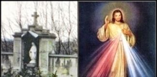 Phép lạ tại mộ Thánh FAUSTINA