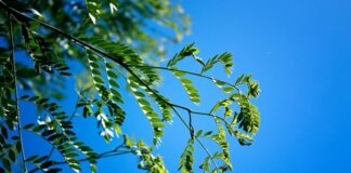 Điều nhắc nhở từ Kinh Lạy Cha