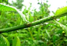 Các Bài Đọc năm C