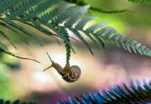 Thiếu Niên và Việc Cầu Nguyện