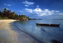 Đi tu, tại sao đi tu?