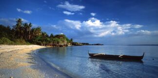 Đi tu, tại sao đi tu?