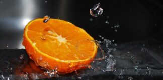 Giáo Lý Hôn Nhân – Phần II