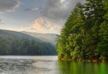 Lịch Công Giáo Tháng 11