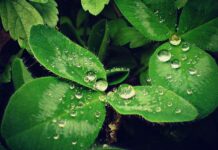 Hội kính thánh Matta sẽ mừng lễ bổn mạng vào Chúa Nhật ngày 27 tháng 7