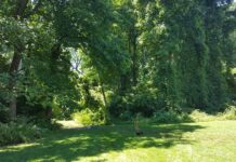 Camping July 30, 2016