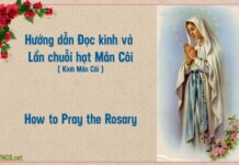 Đọc kinh và lần chuỗi hạt Mân Côi – có video để đọc cùng Auto Draft