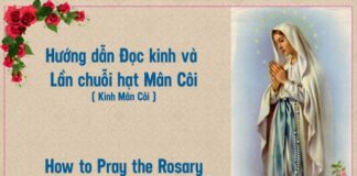 Đọc kinh và lần chuỗi hạt Mân Côi – có video để đọc cùng Auto Draft